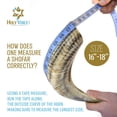 thumbnail image 3 of Cuerno de Shofar HOLY VOICE 41-46 cm Semipulido Israel, 3 of 8