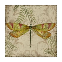 Trademark Fine Art 'Dragonfly Daydreams 1' Canvas Art by Jean Plout