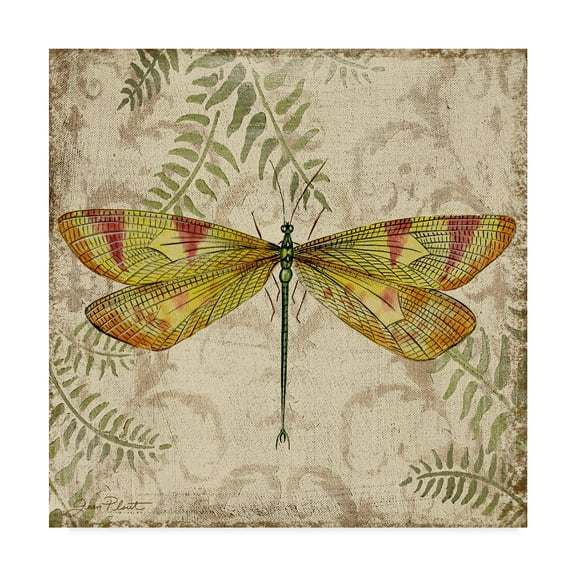 Trademark Fine Art 'Dragonfly Daydreams 1' Canvas Art by Jean Plout