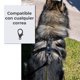 thumbnail image 4 of Pechera de Piel Max & Maki para mascota, con ribete, ajustable, resistente y cómoda. Max & Maki Pechera piel negra G, 4 of 7