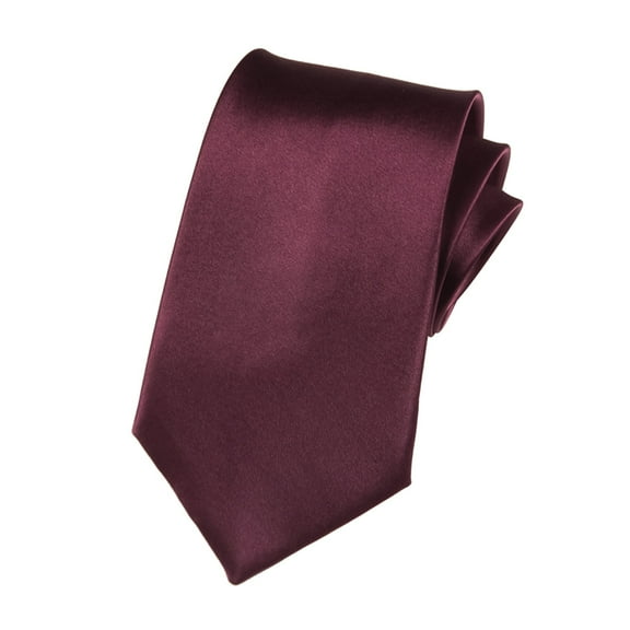 Baberdicy Ties for Men Men's Solid Color Tie Monochrome Polyester Silk Business Formal Wear Casual Multi Occasion Use Black Ties for Men One Size