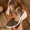 Coffee, variant on Women's Wedge Sandals, Big Size Closed Toe Woven Spring Summer Comfortable Shoes Brown 5.5