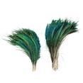 thumbnail image 2 of ZUCKER® Natural Peacock Sword Feathers - 12-20" 25pc Packaged Art Supply DIY Craft Decor, 2 of 3