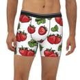 thumbnail image 2 of Salouo Hand Drawn Strawberry Pattern Men's Boxer Briefs, Soft & Breathable Underwear Elastic Waistband Briefs for Men,1-Pack, 2 of 7