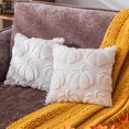 thumbnail image 1 of Qucyy Fluffy Plush Decorative Pillowcase 12" x 12", 1 of 5