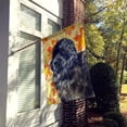thumbnail image 2 of Carolines Treasures BB9932CHF Drapeau Terre-Neuve Automne - Taille Maison en Toile, 2 of 4