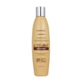 thumbnail image 1 of Kareol Keratina Shampoo 300ml · Restaura, Fortalece Y Nutre KAREOL Tipo de Cabello: Dañado, Procesado, 1 of 4