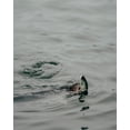 thumbnail image 3 of 6th Sense – Speed Glide 100 Glide Bait Swimbait, 4in. (7/8oz) – Fresh and Saltwater Styles, 3 of 9