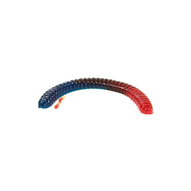 World S Largest Gummy Worm Blue Raspberry Cherry 1 Count Walmart Com