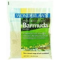 BARMUDA BERMUDA GRASS 1#