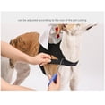 thumbnail image 2 of Halloween Crusader Knight Dog Costume, Medieval Rider Dog Halloween Costumes with Axe-Shaped Detail, Funny Pet Halloween Costumes, Knight Dog Costume for Party Photoshoot (White), 2 of 8
