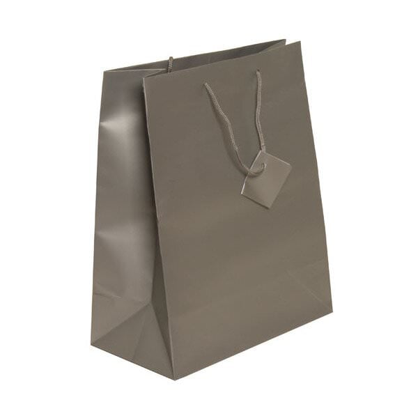 JAM Paper Matte Gift Bag, 10 x 13 x 5, Silver, 1/Pack, Large