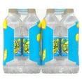 Splash Blast, Lemon Flavor Water Beverage, 16.9 FL OZ Plastic Bottles