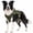 Green, variant on Dog Harness for Large Dogs, Heavy Duty No Pull Dog Harness with Handle, Adjustable 6-Buckle German Shepherd Big Size Dog Vest for Walking, Training