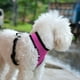 thumbnail image 4 of Chaleco reflectante para el pecho Chaleco transpirable para perros y gatos Ropa para caminar al aire libre Hugtrwg Para estrenar, 4 of 7
