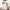 White, variant on Juslio Nightgowns for Women Plus Size Sexy Comfortable Short Sleepshirts