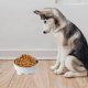 thumbnail image 5 of Cuencos de comida y agua para mascotas, comedero antivómitos para perros y gatos, protege la columna vertebral de las mascotas, 5 of 5