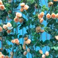 thumbnail image 1 of Gwong Decoración hogareña 36 Cabeza Seda artificial Rosa Vid Fiesta de boda Home Jardín Celebración Decoración Gwong 21029882, 1 of 7