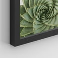 thumbnail image 5 of PixonSign Framed Wall Art Prickly Green Cactus Posters, Set of 2 Southwest Texas Arizona Desert Plants Illustrations Wall Decor, Adhesive Canvas Prints for Home Decor - 11"x14" Black, 5 of 5