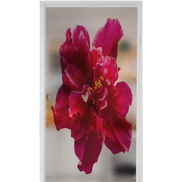 Autocollant de Confidentialité de Film de Fenêtre Givré une Grande Fleur d'Hibiscus Rouge Isolée sur Fond Blanc 35.4 "x 78,7" Film de Confidentialité Statique de Fenêtre d'Accrochage