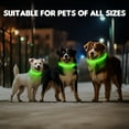 thumbnail image 4 of LED Dog Collar USB Rechargeable Glowing, Pet Collars Lighted Up Safety Necklace Glow in the Dark for You & Your Dogs (Green), 4 of 7