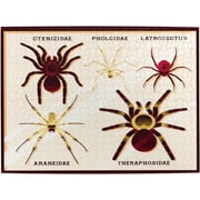 Arachnophobia Puzzle 500 Piece Rompecabezas Funny Puzzl Cool Art Adults Puzzles Wooden Jigsaw Puzzles Gifts