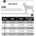thumbnail image 2 of No Pull Dog Harness Reflective No Choke Pet Padded Vest Harness for Small Medium Large Dogs,Breathable Heavy Duty Dog Walking Harness with Easy Control Handle for Outdoor Training Running, 2 of 21