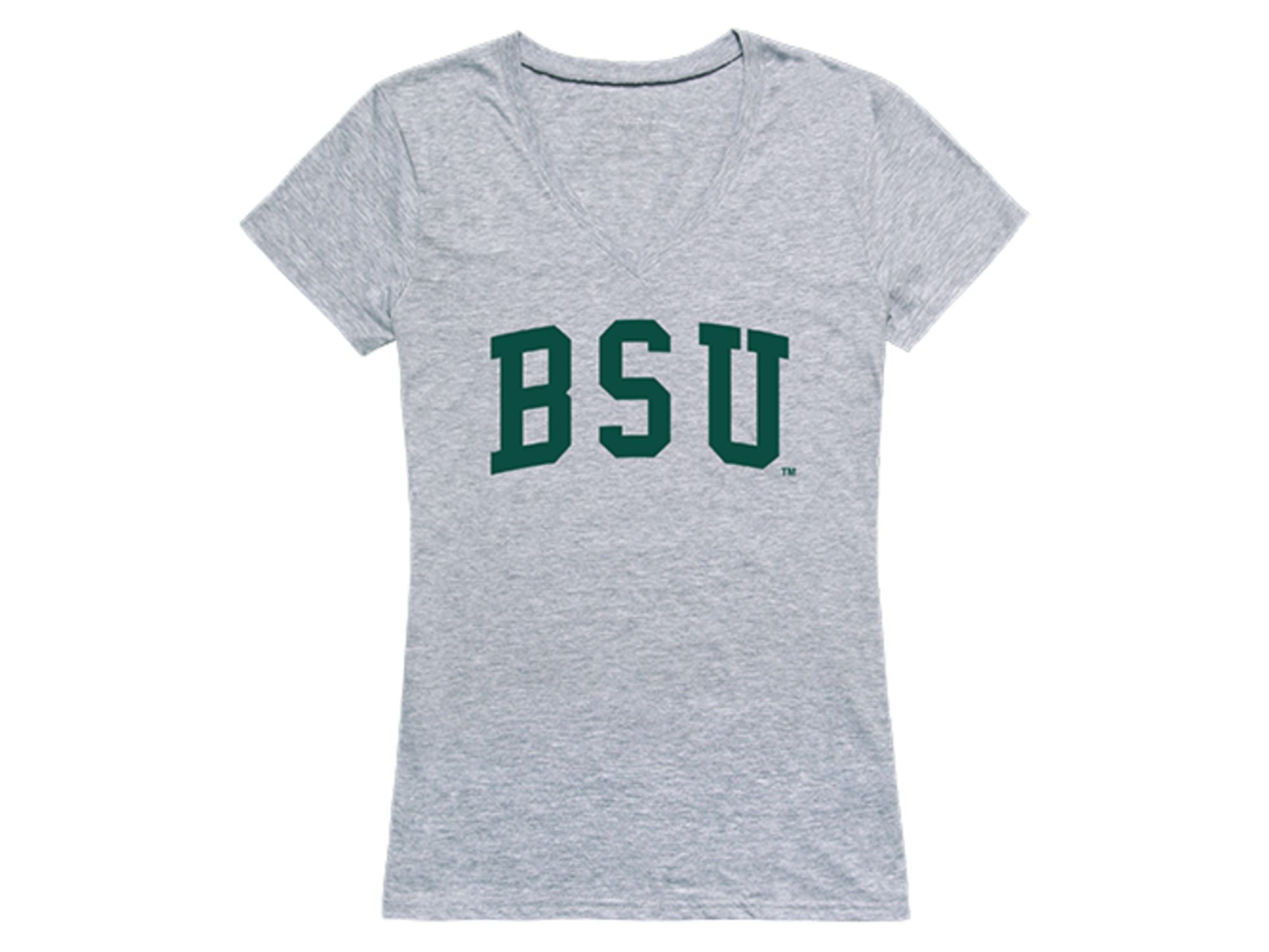 bemidji state my bsu bemidji state my bsu