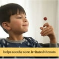 thumbnail image 6 of Burt's Bees Kid's Throat Soothing Pops, Fruit Fusion Flavor, 15 Count, 6 of 6