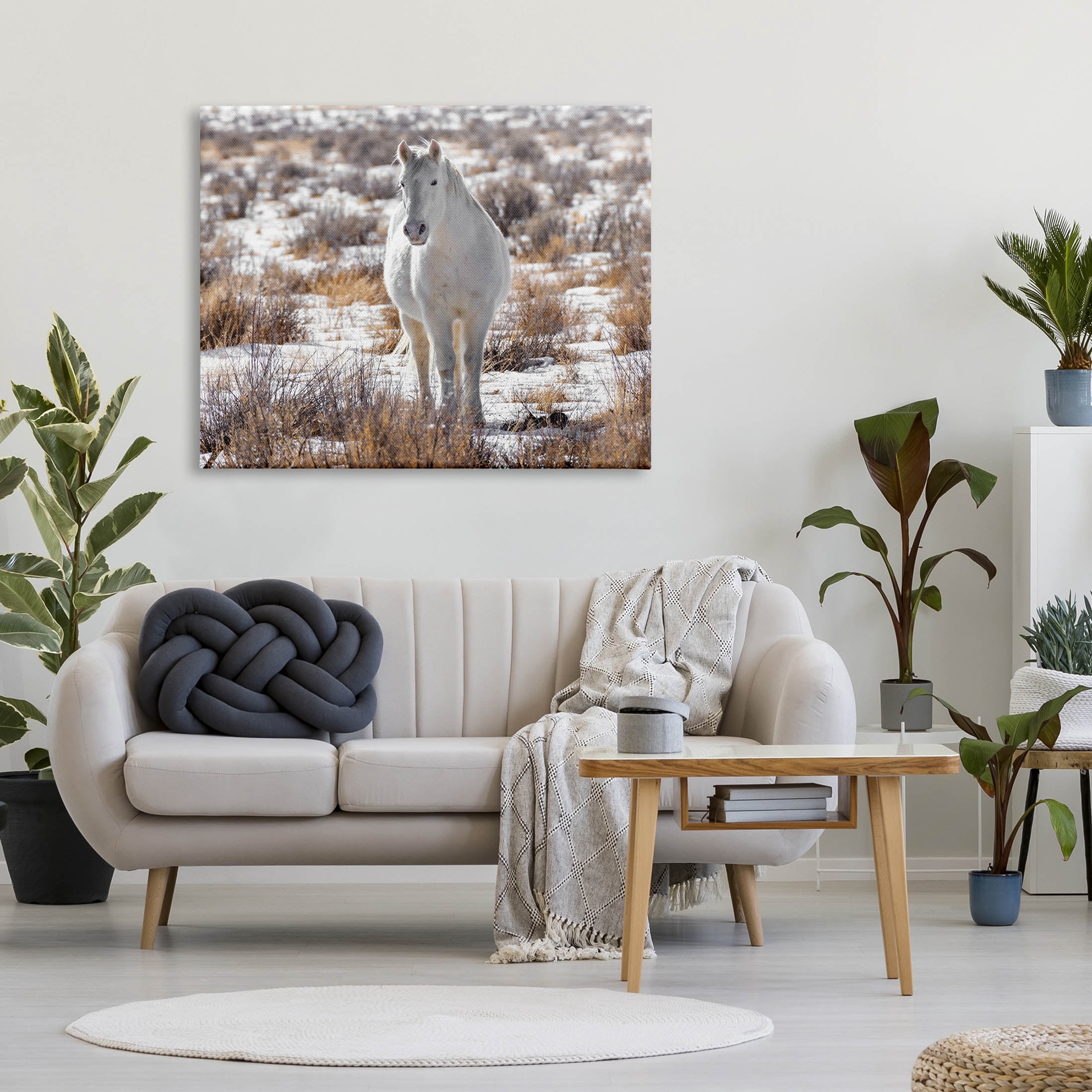 Winter Snow Horse Wildlife Animals & Insects Photograph Gallery Wrapped Canvas Print Wall Art