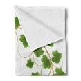 thumbnail image 2 of Vineyard Soft Flannel Fleece Throw Blanket, Curved Ivy Branch Deciduous Woody Wines Clusters Cabernet Theme Print, Cozy Plush for Indoor and Outdoor Use, 60" x 80", Green Purple, by Ambesonne, 2 of 5