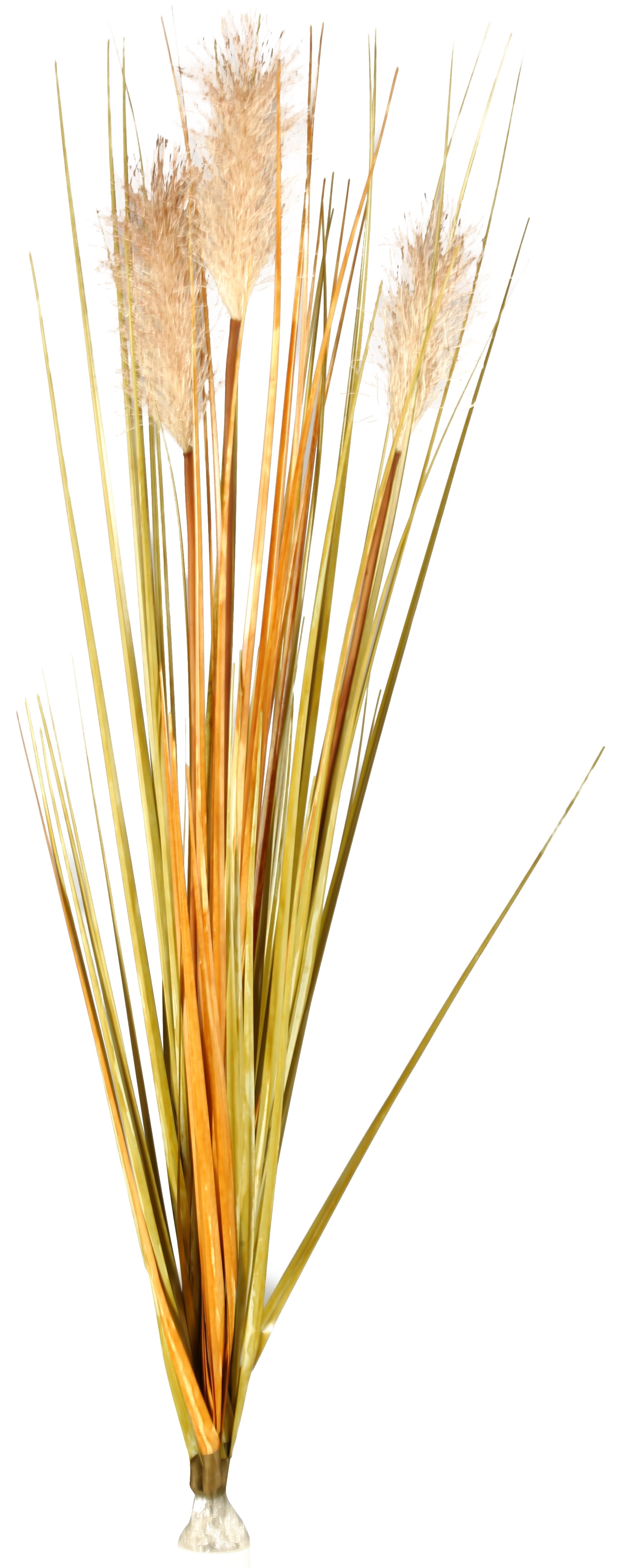 D&W Silks 38" Tall Onion Grass With Dogstail Set of 3