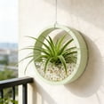 thumbnail image 5 of BotaniNest Succulent With Holes For Performance Under Various Conditions, 5 of 5