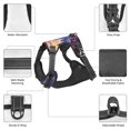 thumbnail image 3 of Naloa Taxi Colorful Town Pet Harness Vest with Traction Rope, Adjustable No-Choke Dog Vest for Outdoor, Walking - X-Large, 3 of 4