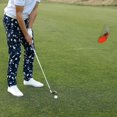 thumbnail image 5 of ZHAOCHENG Entrenador de putt de presión, entrenador de putt de golf plegable para practicar putt de golf en interiores y exteriores, 5 of 5