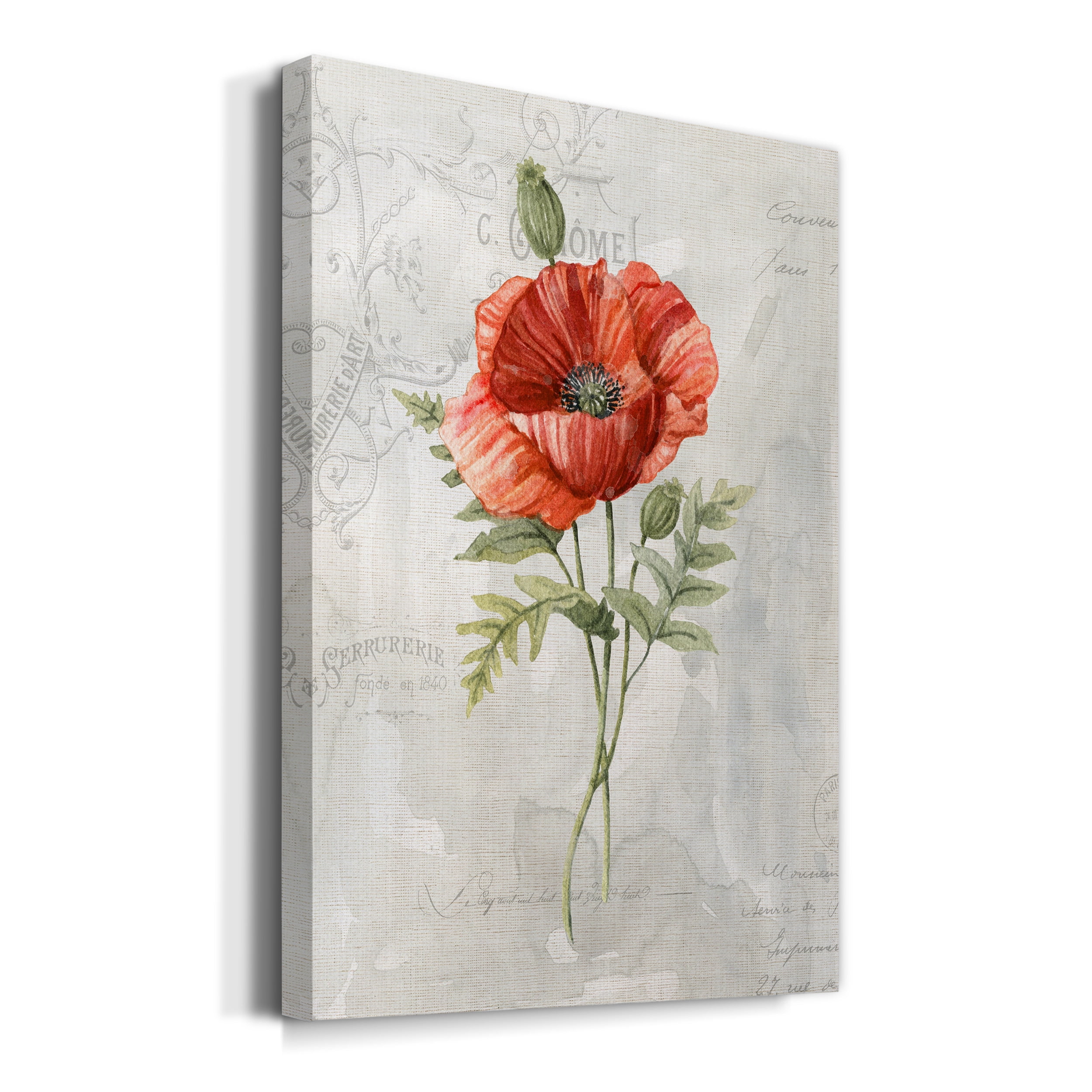 Linen Poppy Premium Gallery Wrapped Canvas - Ready to Hang - 32 x 48