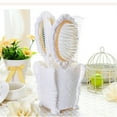 thumbnail image 4 of Fiudx Juego de Tocador, Elegante Kit En Cepilos En Espejo Tallado, Herramientas En Plástico Duradero En Cabello, Estuch En Viaje En Peine Antiestático, Ideal En Uso Doméstico, Regallo Perfecto, Soluc, 4 of 7