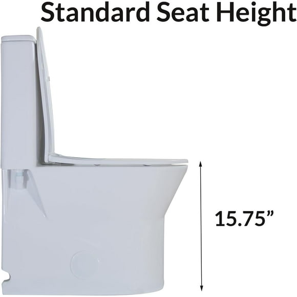 WinZo Small 23 inch One Piece Toilet with 10 inch Rough-in Compact For Compact Short Bathroom,White with Golden Button
