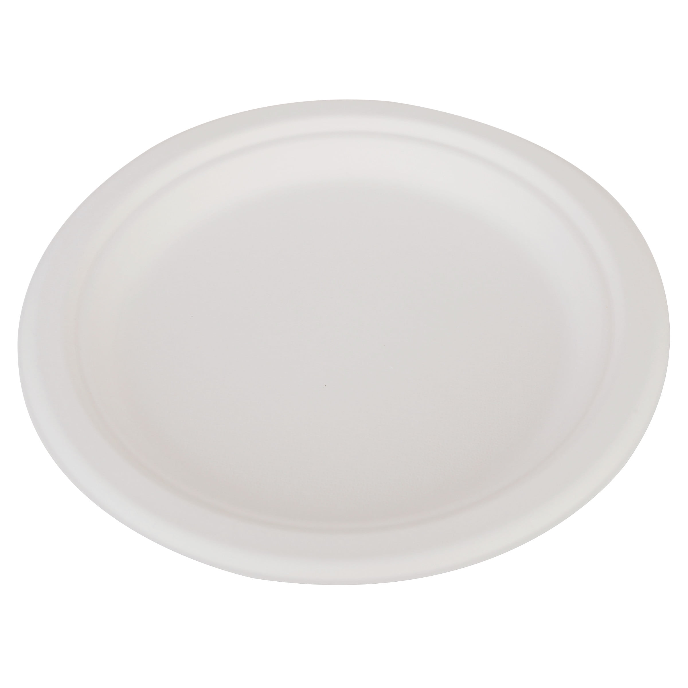 disposable plates price