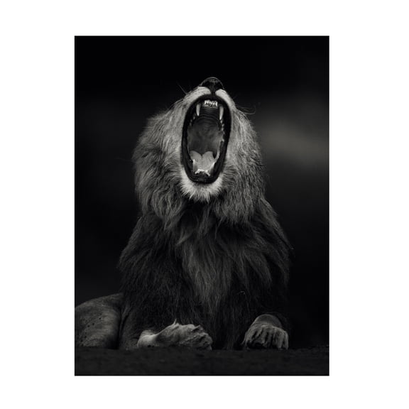 Trademark Fine Art Ahmed Sobhi Yawning Canvas Wall Art