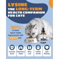 thumbnail image 4 of Suplemento de L-lisina para gatos SANTKOL Immune Support 60 ml, 4 of 8