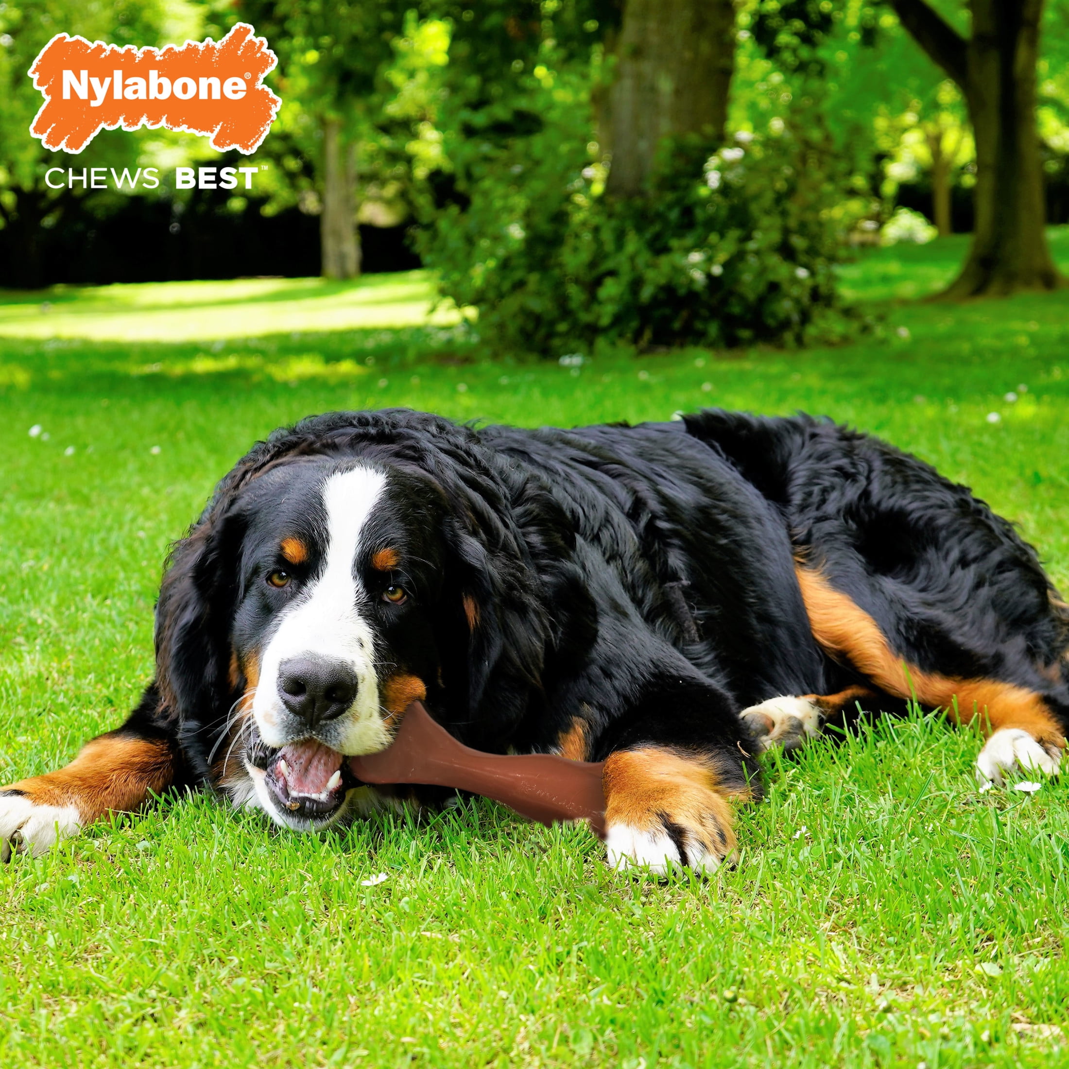 Nylabone Power Chew Butcher Bone Dog Toy, Dog Chew Toy, Bacon Flavor, XX-Large, 1 Count