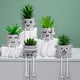 thumbnail image 2 of Expresión Adornos En Maceta,Plantas Artificiales Decoraciones En Macetas Plantas Artificiales Decoraciones En Macetas Plantas Suculentas Maceta Características Líderes De Clase, 2 of 5