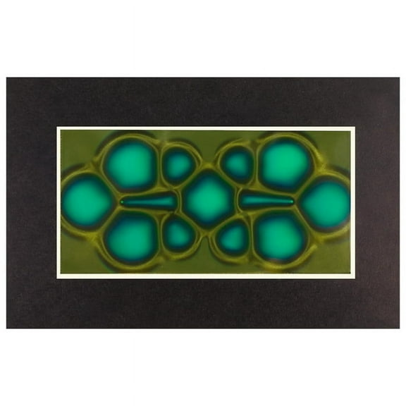 Magnetic Viewing Film, 2inchx 4inch Field Viewer for Scientific Projects,Reusable and Automatic Recovery
