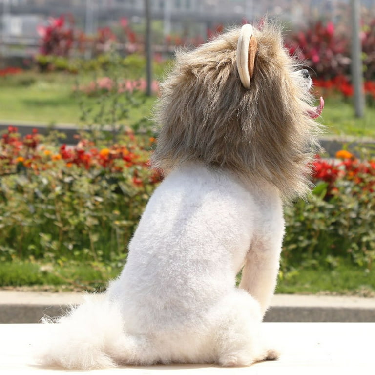 Bad Dog Ridiculous Dog Haircuts Funny Pet Small Dog Cat Costume Lion Mane  Wig Cap Hat For Cat Dog
