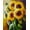 Sunflowers, variant on DIY 5D Diamond Painting Kits, Yeesam Art Red Flying Dragon Animal DIY Diamond Paintings Rhinestone Arts Craft for Home Wall Decor Gift 12*16in