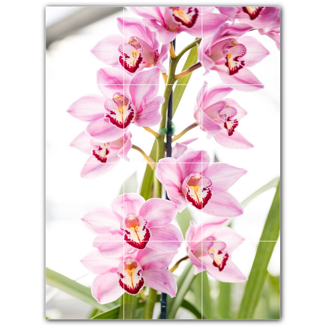 Picture-Tiles.com: Flowers Ceramic Tile Wall Mural WAL500660-34M. 18 W x 24 H using (12) 6 x 6 Ceramic Tiles-Satin Finish