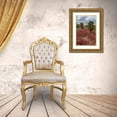 thumbnail image 3 of Pitamitz, Sergio 13x18 Gold Ornate Wood Framed with Double Matting Museum Art Print Titled - Sesuvium edmonstonei and cactus-South Plaza Island-Galapagos islands-Ecuador, 3 of 4