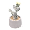 thumbnail image 3 of Planta Mainstays Artificial con Maceta Gris, 3 of 4
