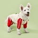 thumbnail image 1 of Chubasquero para perros, poncho impermeable para cuatro patas, peluche, pomi, ropa para mascotas para días lluviosos, perros pequeños y medianos, Bixiong, 1 of 6